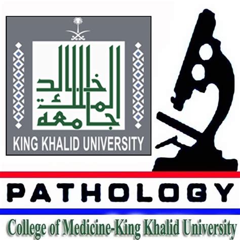 جامعة الملك خالد كلية الطب